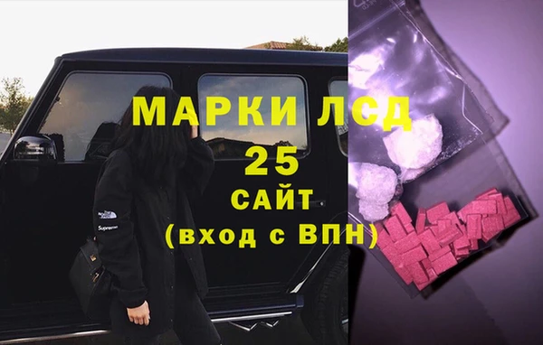 спайс Богданович