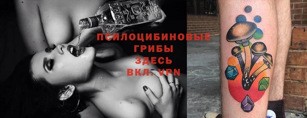 спайс Богданович
