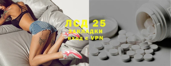 спайс Богданович