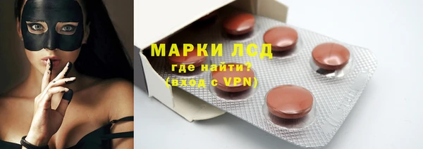 спайс Богданович