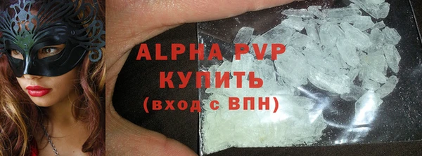 спайс Богданович