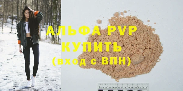 спайс Богданович