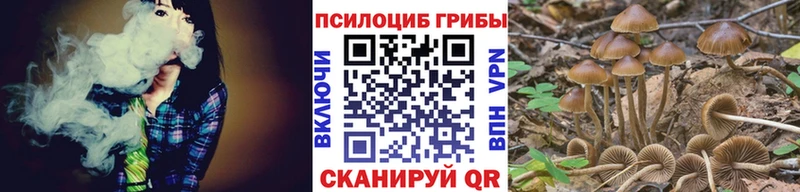 Псилоцибиновые грибы Cubensis  закладка  Хабаровск 